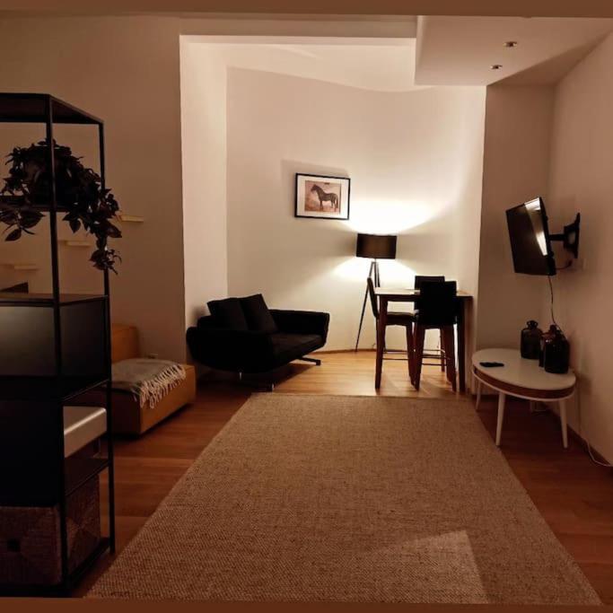 Appartement Designer Between Stephansdome And Belvedere Vienne